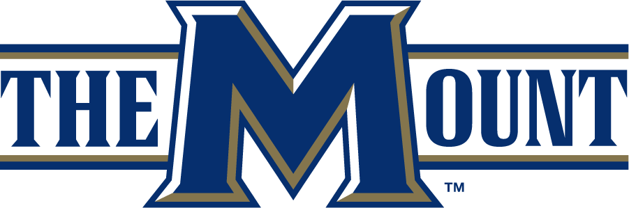 Mount St. Marys Mountaineers 2006-2016 Wordmark Logo v3 t shirts iron on transfers